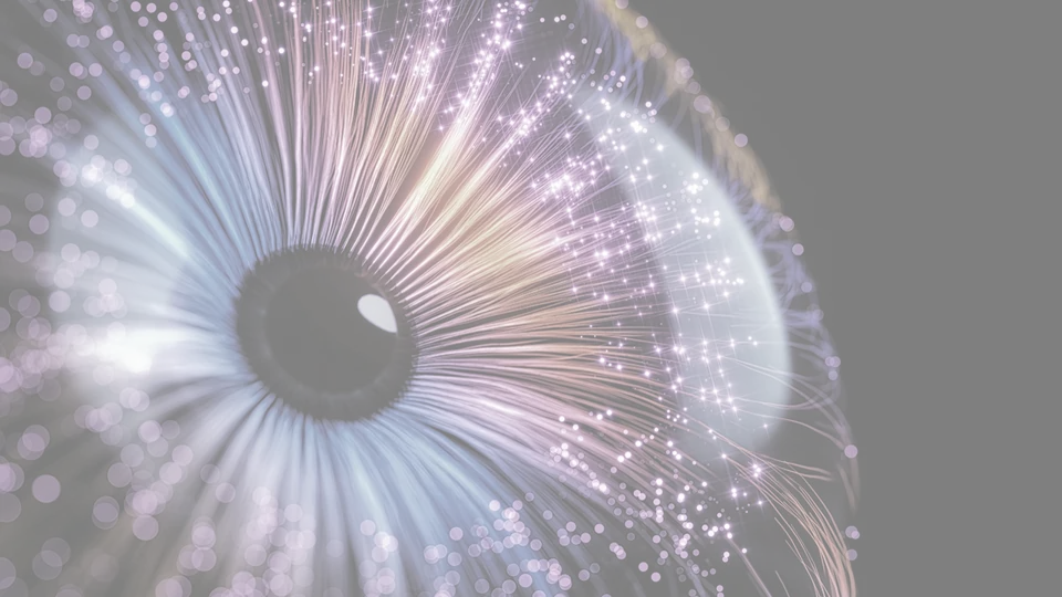 Retinal scan sample